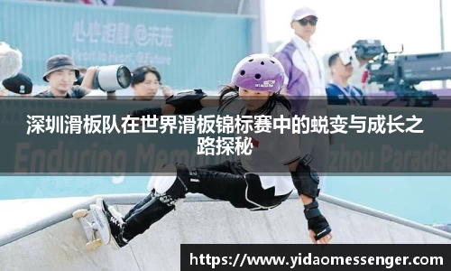 3377体育官网下载