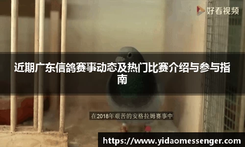 3377体育官网
