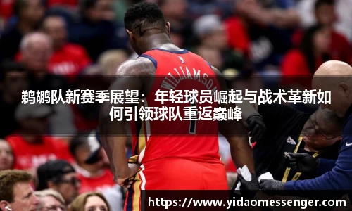 3377体育官网下载