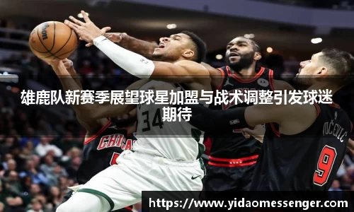 3377体育官网下载