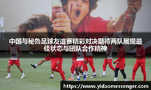 3377体育官网