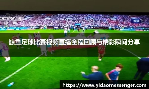 3377体育APP